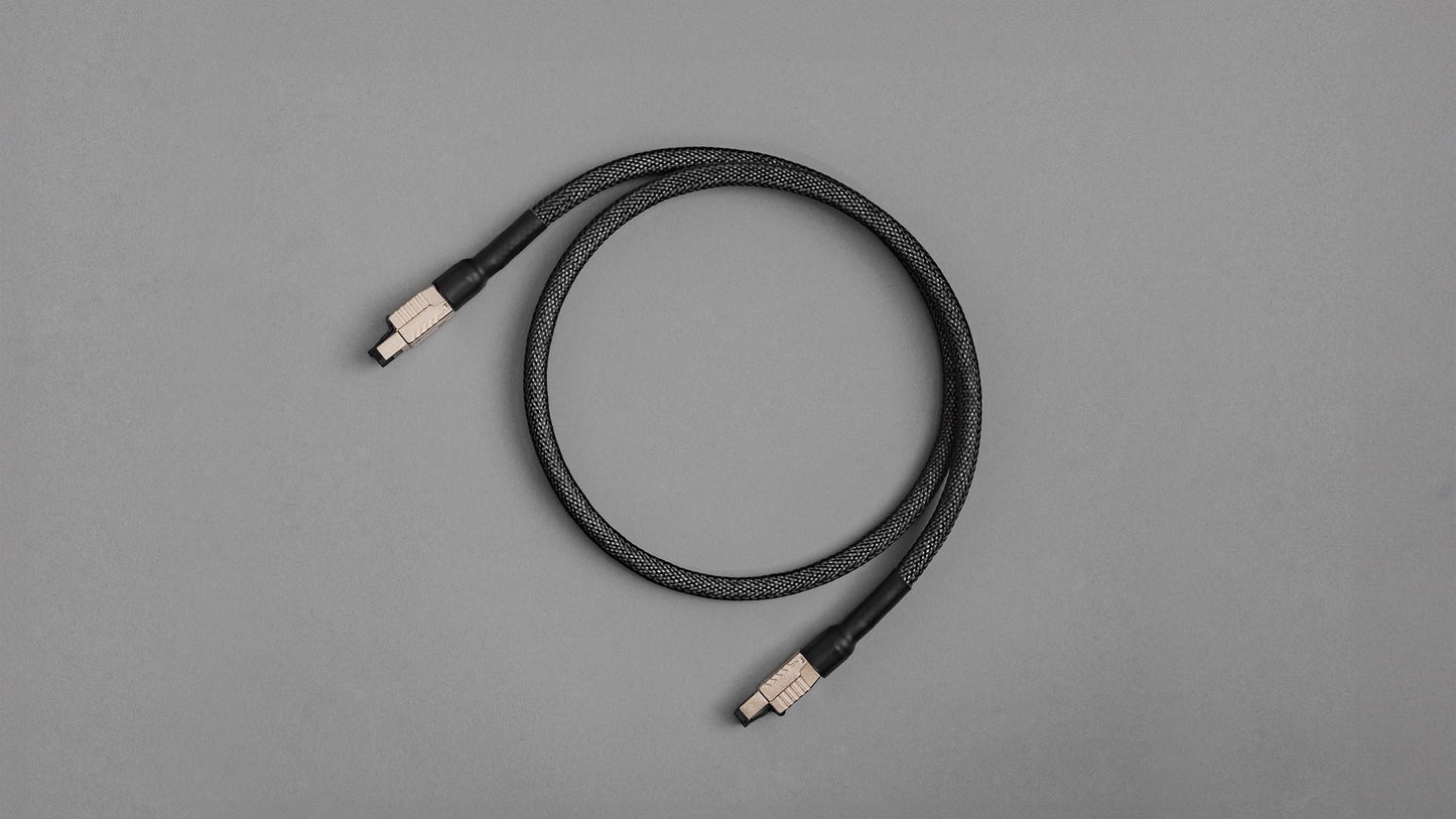Axxess Ethernet Cable