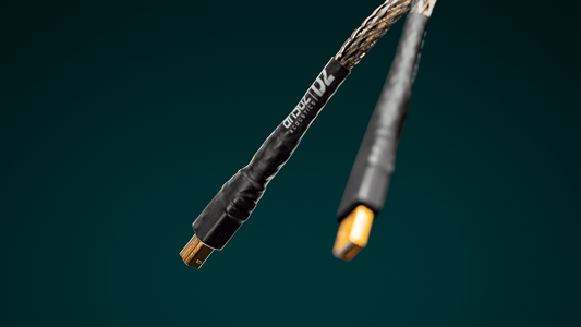 Digitalz D3 USB Interconnect 2m