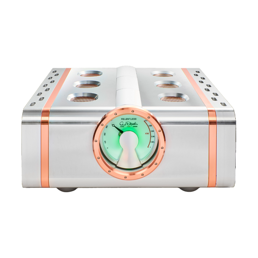 Dan D'Agostino Relentless 800 Z Monoblock Amplifier