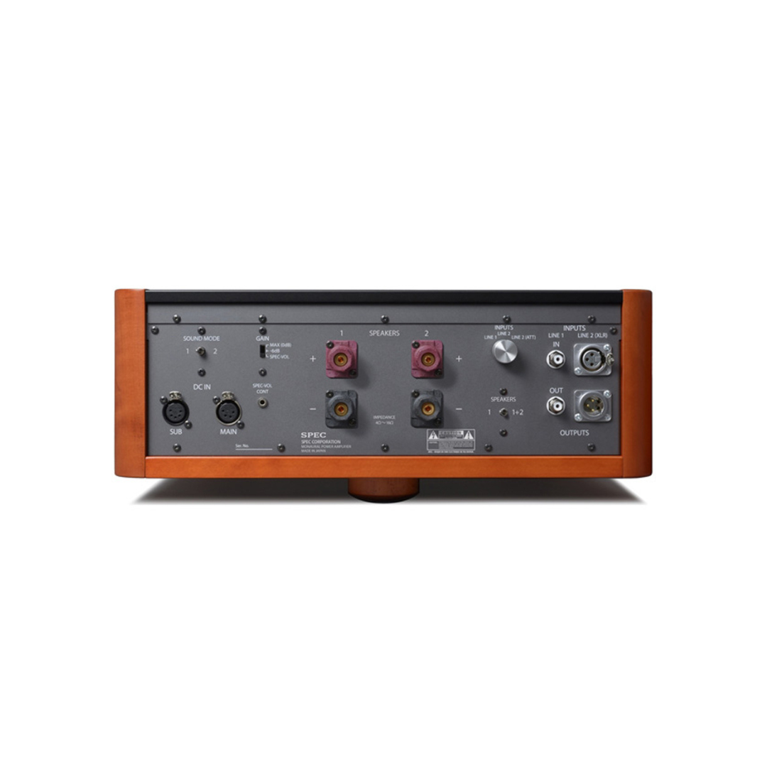 300W Monaural Power Amplifier RPA-MG1000