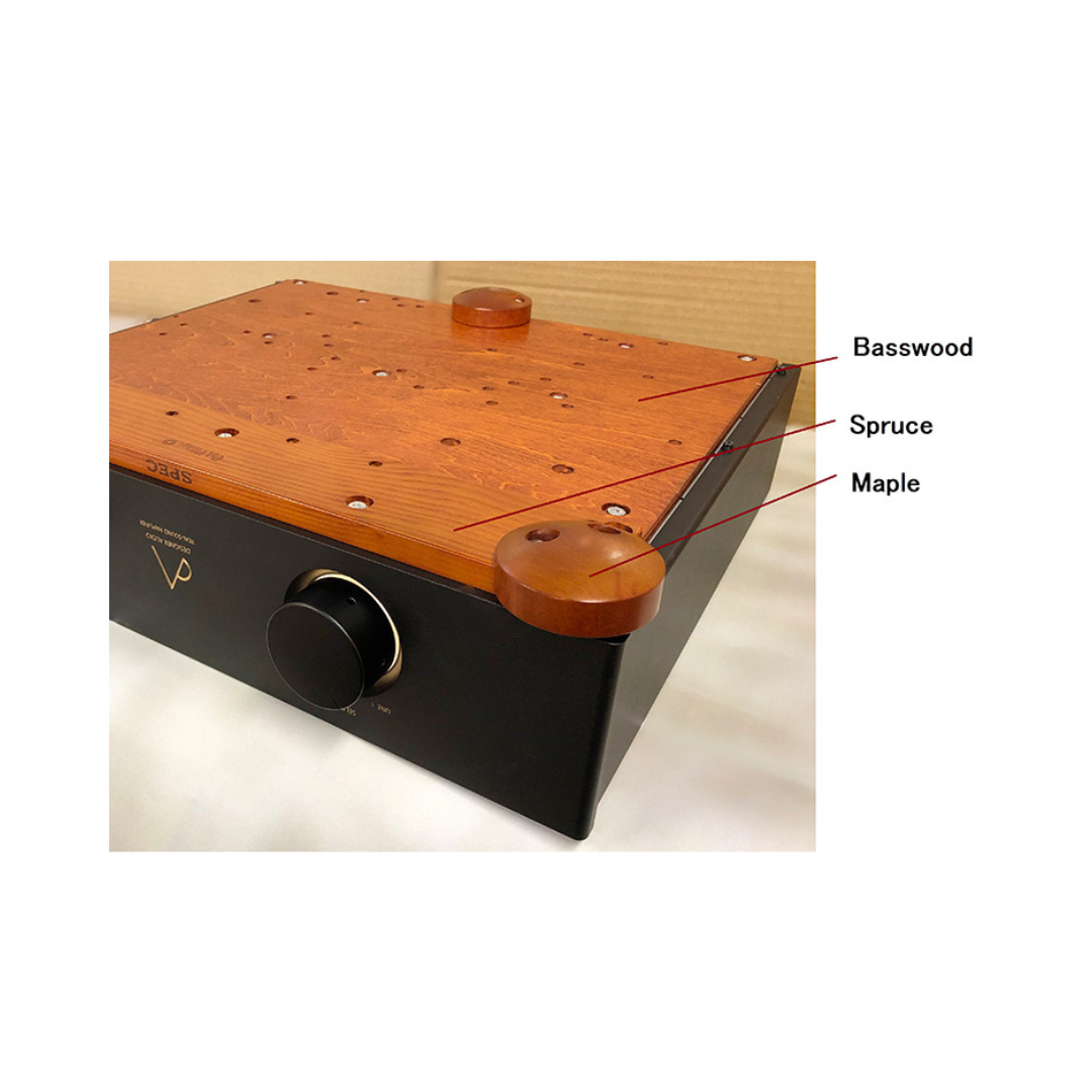 Real-Sound Amplifier RSA-V21