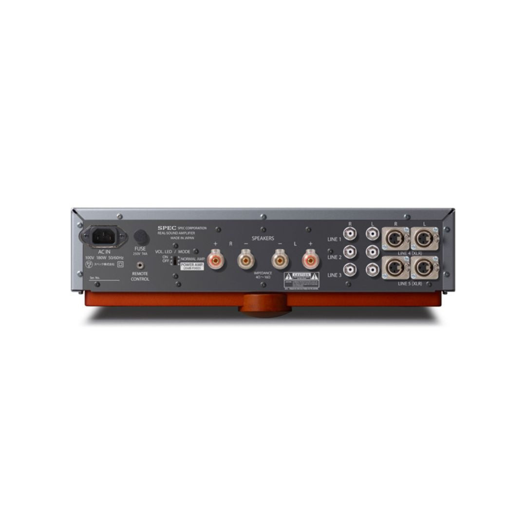 Real-Sound Amplifier RSA-V21