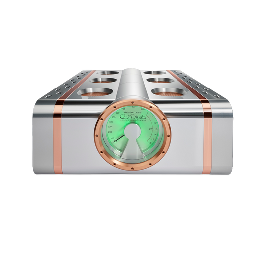 Dan D'Agostino Relentless Epic 1600 Monoblock Amplifier