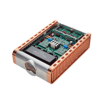 Dan D'Agostino Momentum Z Monaural Amplifier