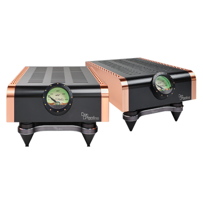 Dan D'Agostino Momentum M400 MxV Monoblock Amplifier
