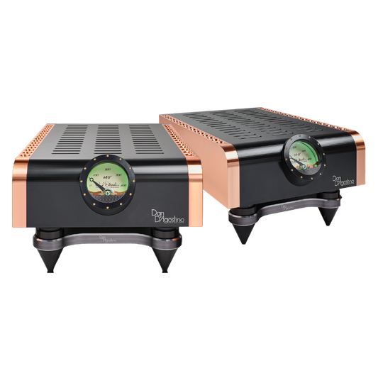 Dan D'Agostino Momentum M400 MxV Monoblock Amplifier