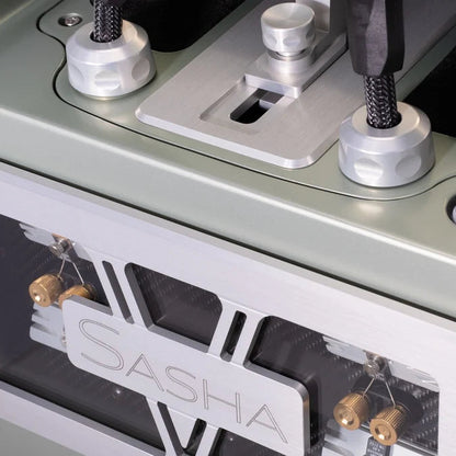 Wilson Audio Sasha V