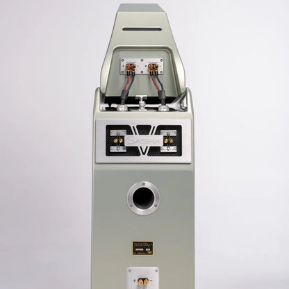 Wilson Audio Sasha V