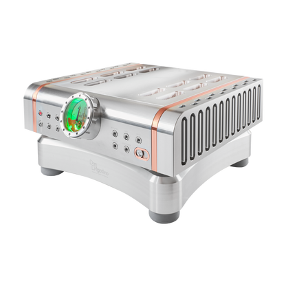 Dan D'Agostino Momentum MxV Integrated Amplifier