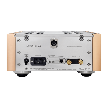 Dan D'Agostino Momentum Z Monaural Amplifier