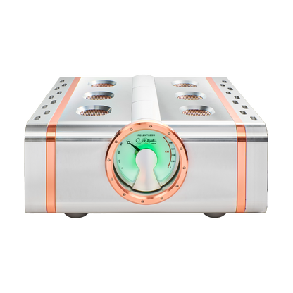 Dan D'Agostino Relentless 800 Monoblock Amplifier