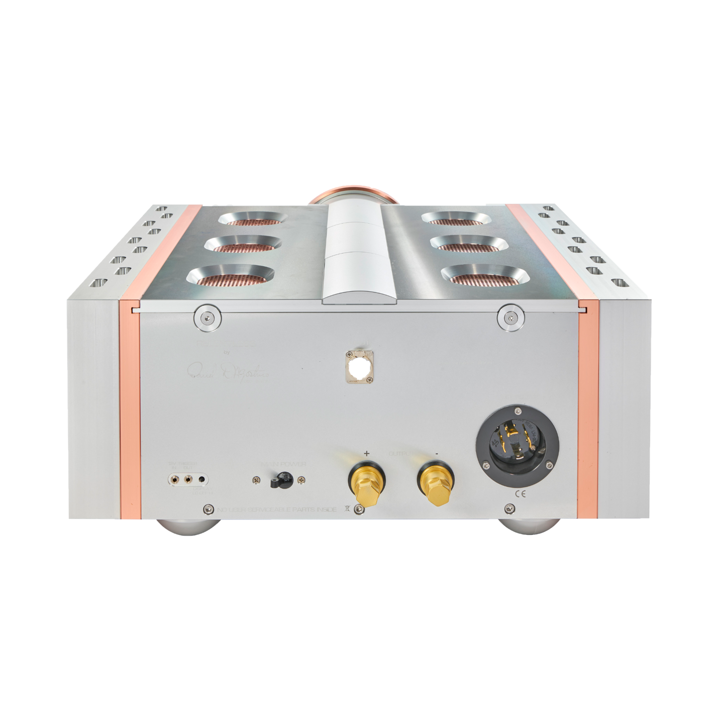 Dan D'Agostino Relentless 800 Monoblock Amplifier