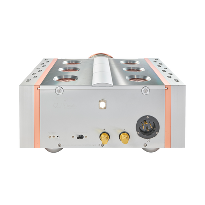 Dan D'Agostino Relentless 800 Monoblock Amplifier