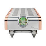 Dan D'Agostino Momentum S250 MxV Stereo Amplifier