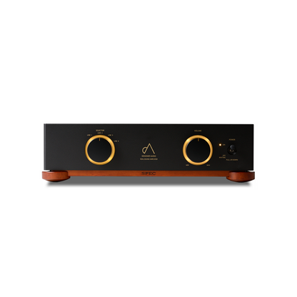 Real-Sound Amplifier  RSA-V21