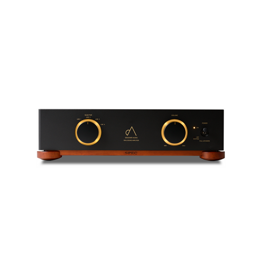 Real-Sound Amplifier  RSA-V21