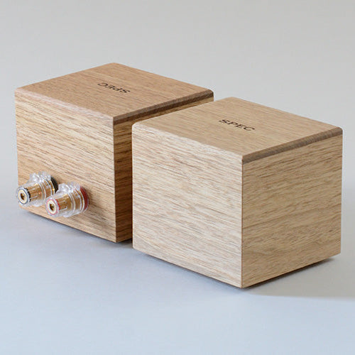 Real Sound Processor RSP-W1EX