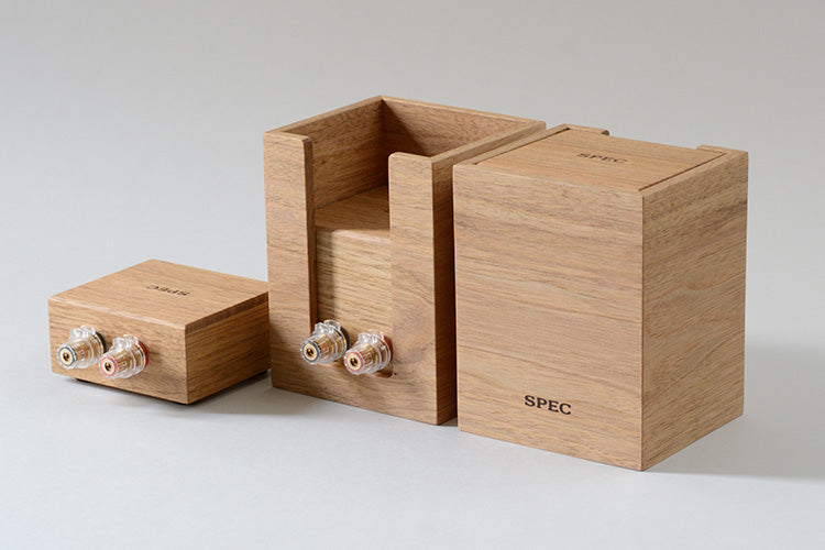 RSP-W1-CEX Specialized Case for RSP-W1EX