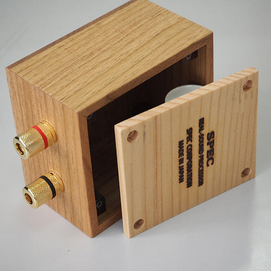 Real Sound Processor RSP-55E