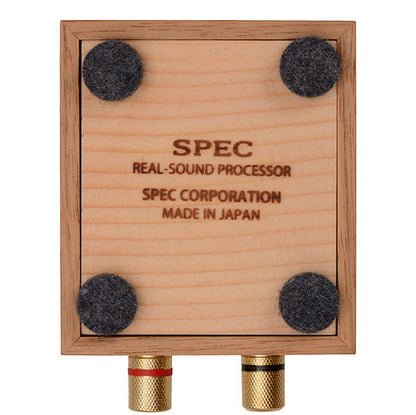Real Sound Processor RSP-55E