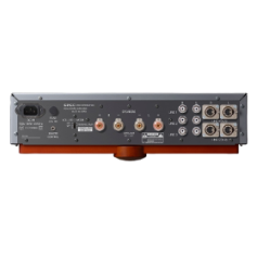 Real-Sound Amplifier RSA-M99