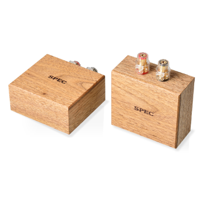 Real Sound Processor  RSP-AZ9EX