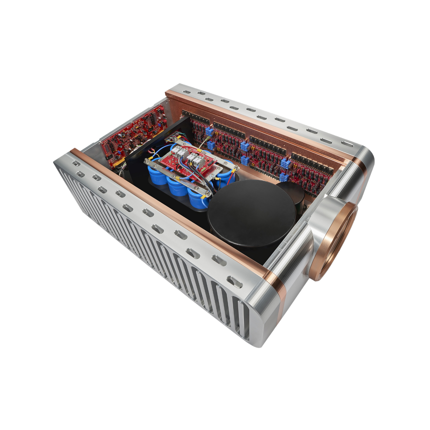 Dan D'Agostino Relentless Epic 1600 Monoblock Amplifier