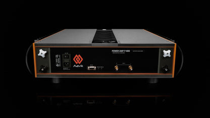Aavik P-880 Power Amplifier - Trimira