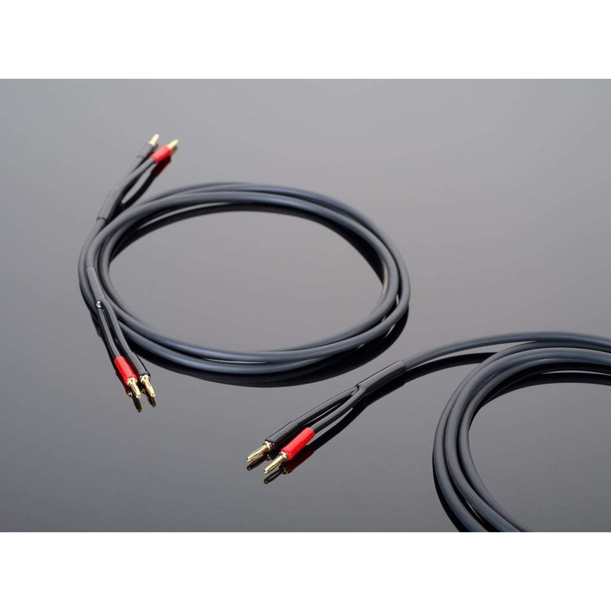 Hardwired Speaker Cable - Trimira