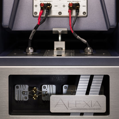 Wilson Audio Alexia Series 2 - Trimira